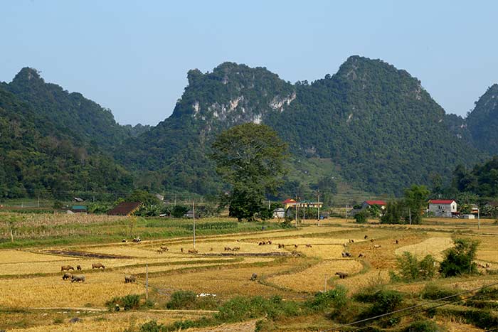 visit cao bang in 2 or 3 days the countryside